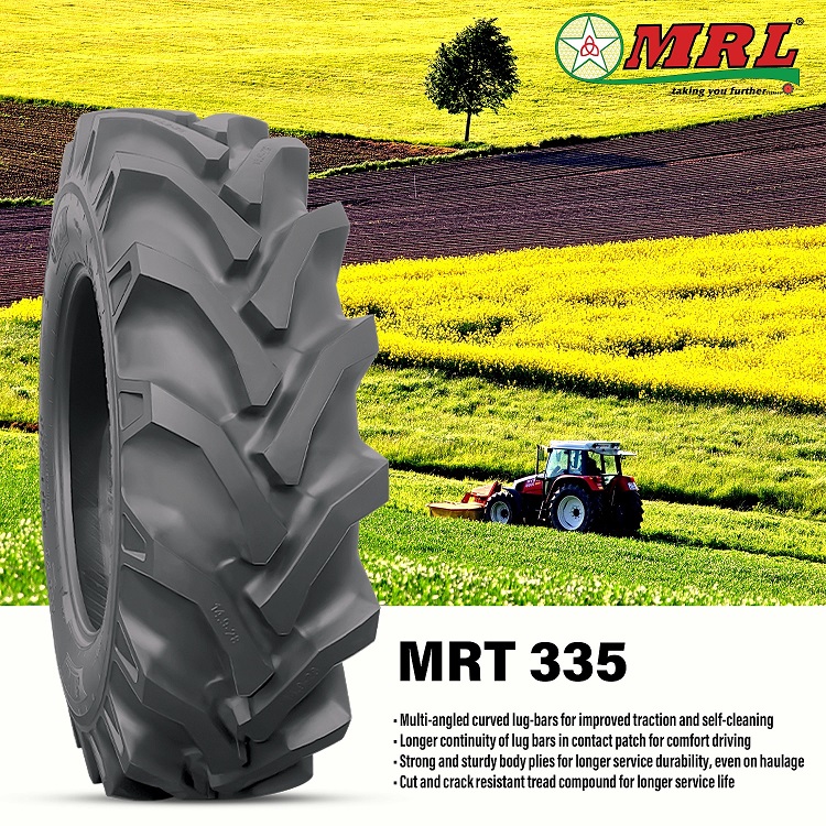 DABANG GOLD - MRT335